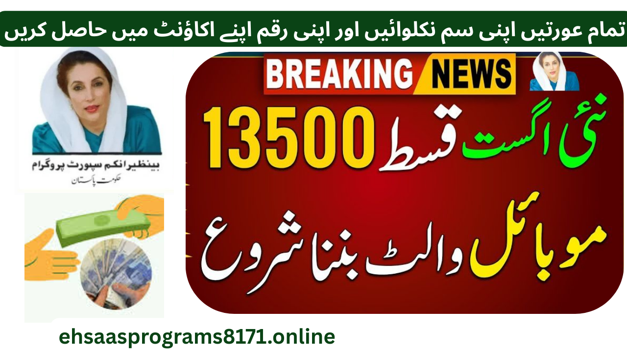 A New Dawn for Women Empowerment: Punjab Launches 13500 Mobile Wallet