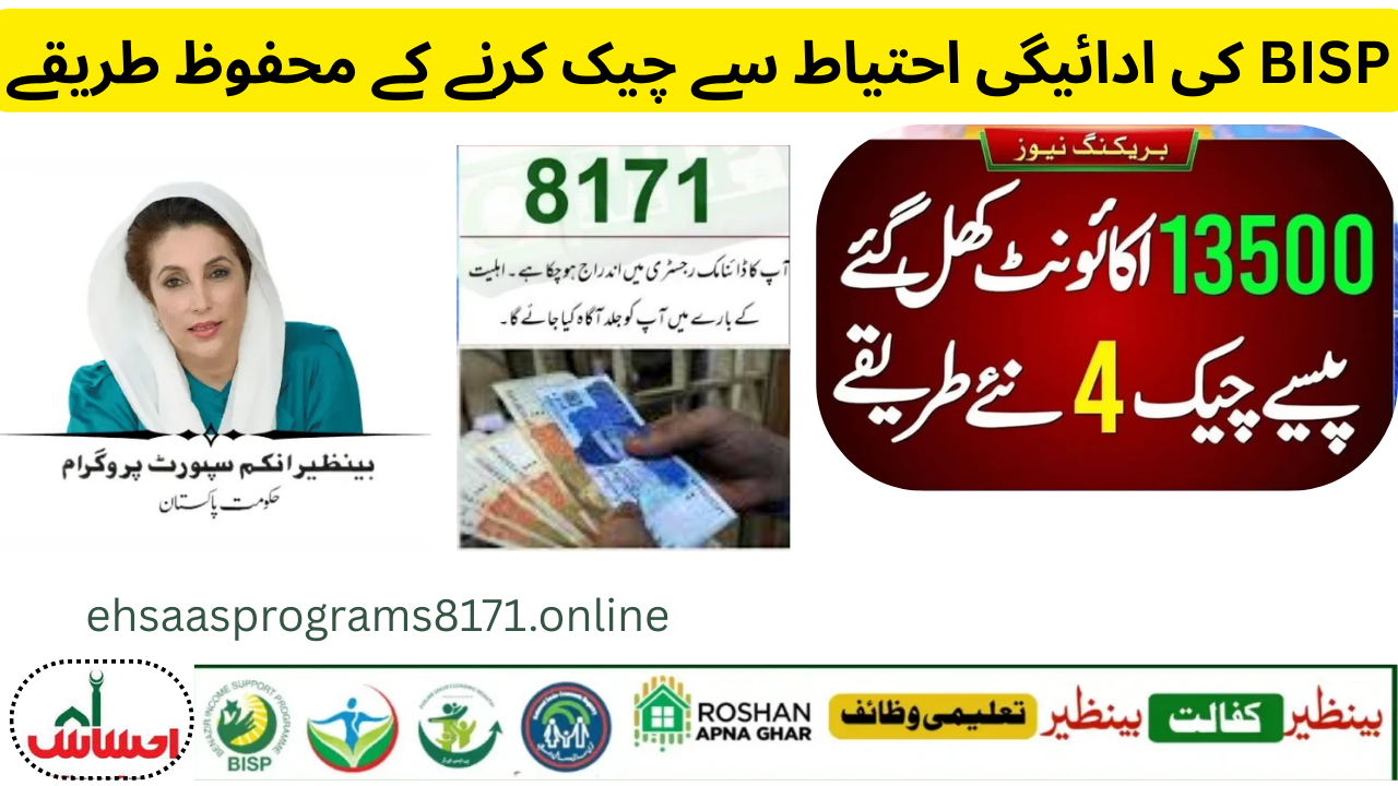 BISP 8171 Payment Discreetly Easy