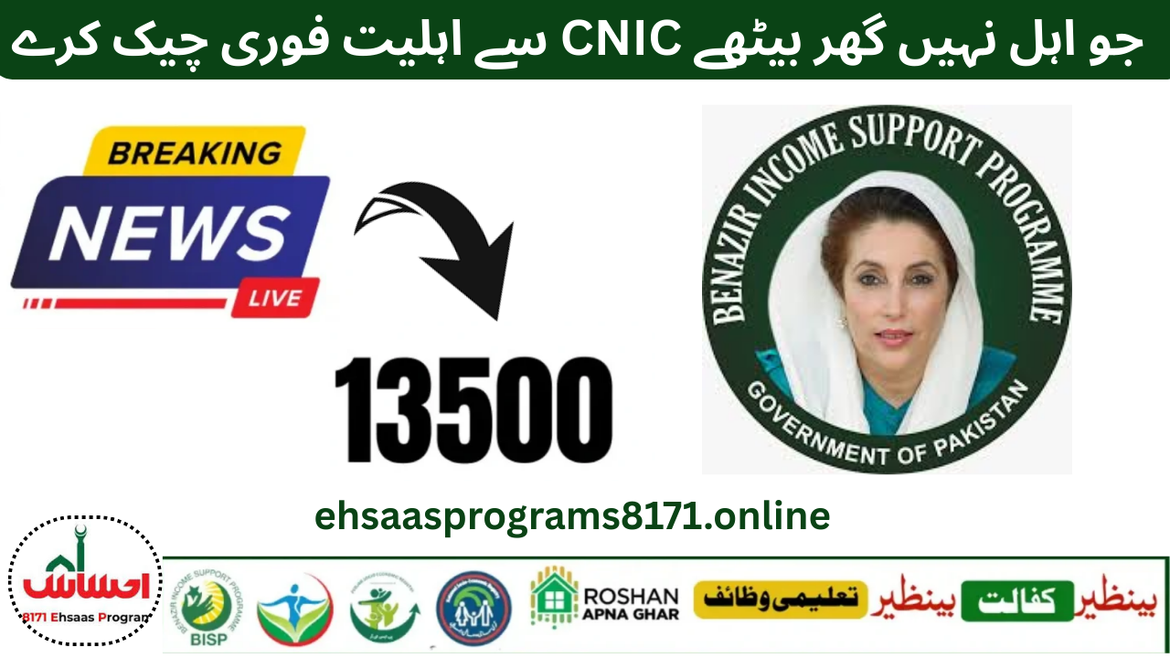 Check BISP 8171 Eligibility with CNIC Check