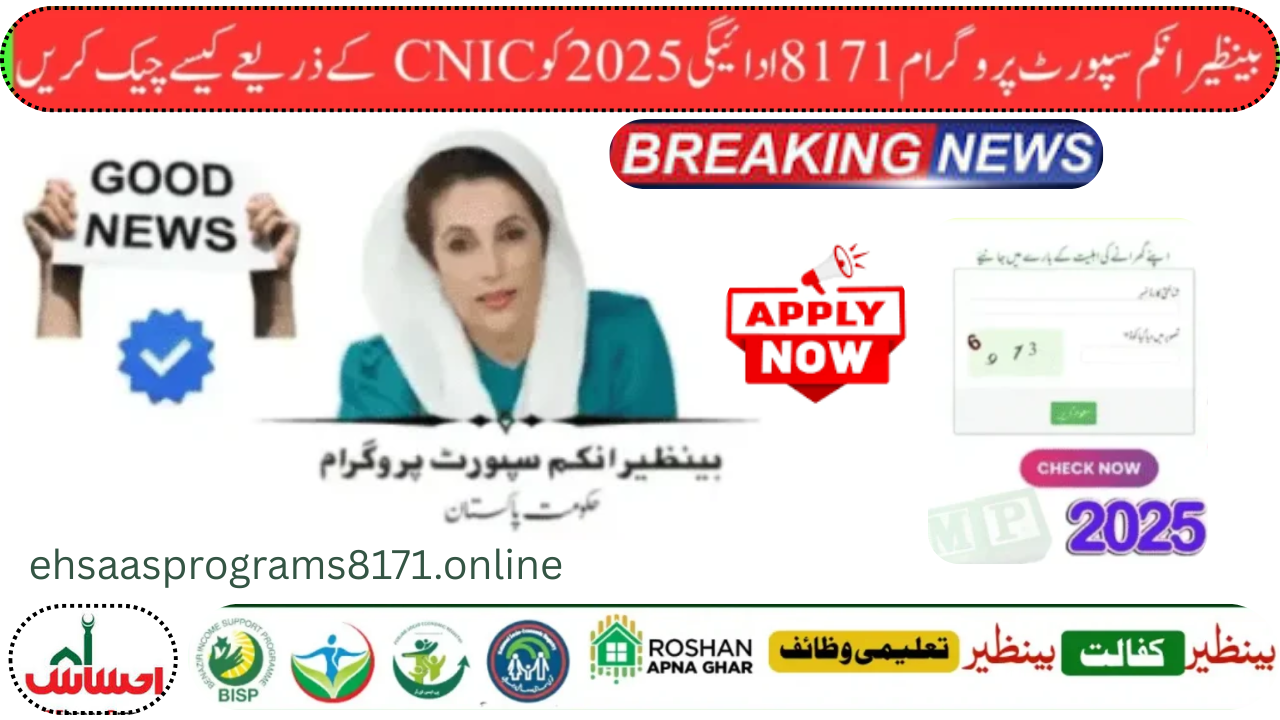 How to Safely Verify BISP 8171 Payment Status